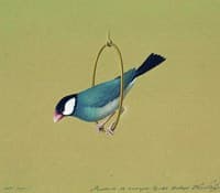 Bird on a Ring