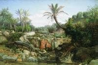 Exotic Landscape