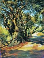 The Road from Rome to Albano