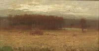 Autumn Woods