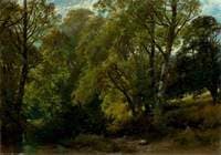 A Shady Nook