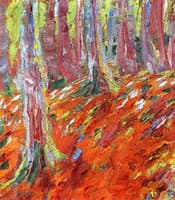 Forest Floor