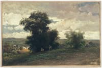 Summer Afternoon