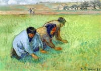 Cultivators