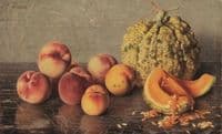 Still Life with Fruit