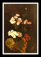 Flowers Posy