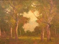 Autumn Woods