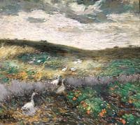 Field with Geese