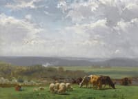Paturage en Auvergnee