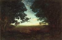 Evening Silhouettes