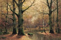 Forest in Autumn