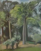 Trees
