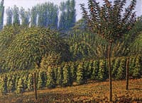 Poem of the Seasons, Fructidor