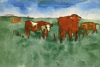 Cows at Pasture