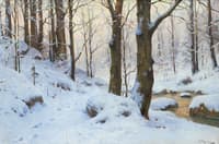 Stream in the Winter Forest
