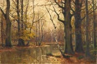 Forest in Autumn