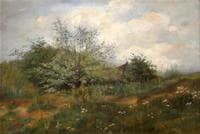 Flowering Meadow