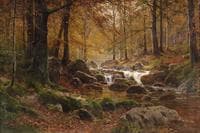 Stream in the Autumn Forest