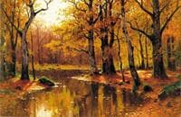 Forest in Autumn