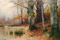 Forest in Autumn