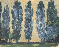 Poplar Trees in the Grounds of St James' Hospital, No.1