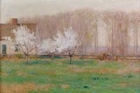May Morning