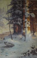 Forest in Winter