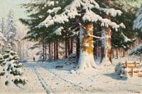 Forest in Winter