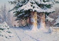 Forest in Winter