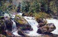 Rocky Riverbank