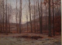 A Silent Morning