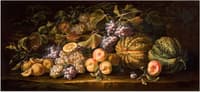 Still life of fruit