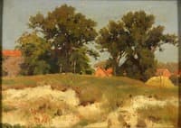 Summer Landscape