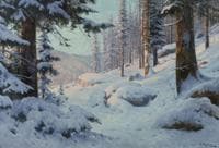 Forest in Winter