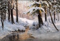 Forest in Winter