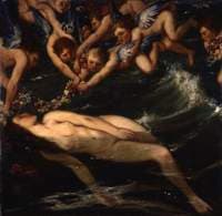 The Birth of Venus