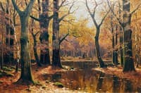 Forest landscape with pond