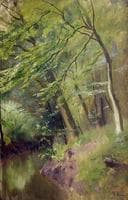 Forest in Spring