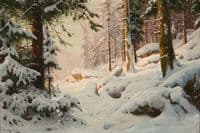 Forest in Winter