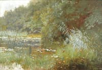 Forest pond with water lilies