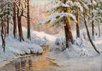 Winter in Oberharz near Schierke