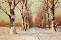 Winter Landscape