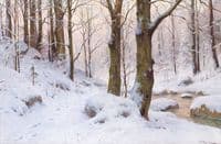 Winter Landscape