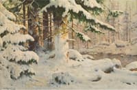 Forest in Winter