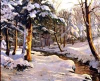 Winter forest with stream
