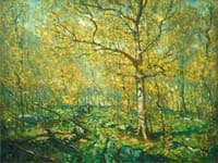 Spring Woods