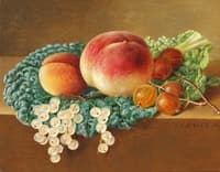 Still life with cabbage leaf
