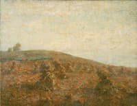 The Corn Field