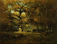 Connecticut Woods