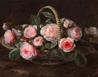 Pink roses in a basket
